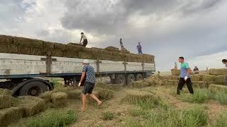 Заготовка сена на зиму. Разгрузка тюкового сена. Часть первая