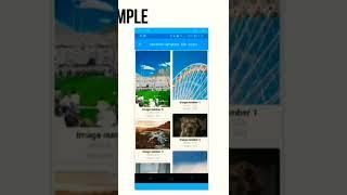 Flutter Short Staggered Grid View