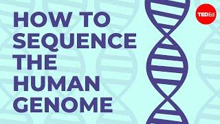 How to sequence the human genome - Mark J. Kiel