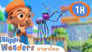 ใยแมงมุม | Blippi ไทย | วิดีโอการเรียนรู้สำหรับเด็ก