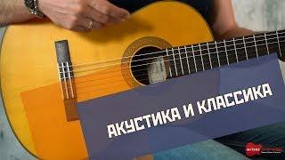 Акустическая и классическая гитара — в чем разница? | ArbatGuitar