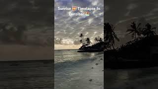 #travel #sunrise #beach #zanzibar #art #africa #earth #shorts #viral #timelapse #tanzania #nature