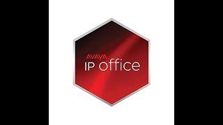 AVAYA IP OFFICE - Demo