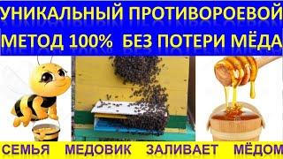 Уникальный противороевой 100% метод без потери мёда. Семья медовик.