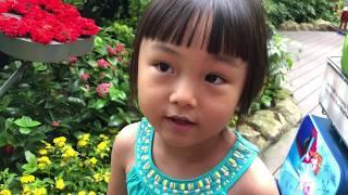 Singapore Changi Airport Butterfly garden visit with Audrey Yung - I am Audrey 20180530