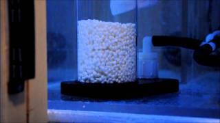 GEO Media Reactor Prototype with Brightwell Katalyst BioPellets