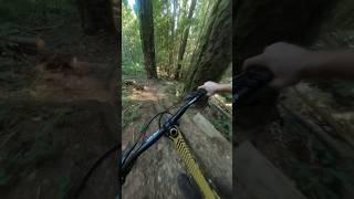 Getting sketchy in the lockdown ruts!
