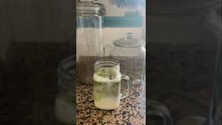 Matchalatte  #chamberlaincoffee #matchalatte #aesthetic #fyp #parati #vhs #aesthetic