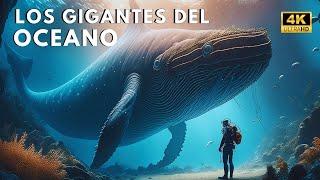 VIDA MARINA | Los Animales Más Grandes de los Océanos | DOCUMENTAL DE ANIMALES