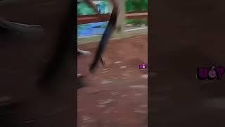 Didn't even try and failed! - #funny #videos #memes #webms #shorts
