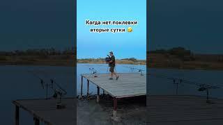 #shorts когда нет поклевки вторые сутки  #carpfishing #рыбалка #карпфишинг #fish #fishing