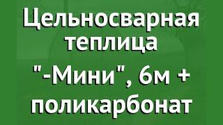 Цельносварная теплица Агросфера-Мини, 6м + поликарбонат обзор АГС004