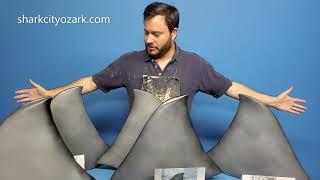 1:2 Scale Dorsal Fins