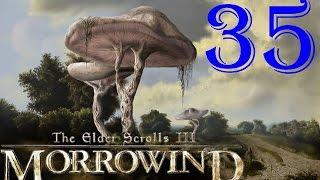 [35] TES III Morrowind  [Fullrest Repack v.1,4] Ибар Дад