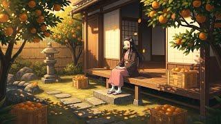 Lofi Girl in the Citrus Garden  Soft, Cozy, and Calm Japanese Chill Beats for Study, Work, & Focus