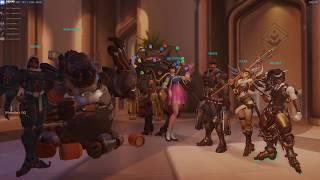 Oasis | Elation vs Quixotic (Katie)
