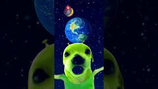 Dog ️