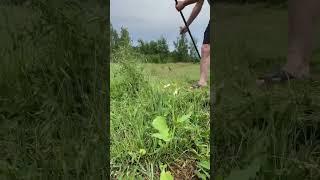 Mastering Grass Cutting with a Scythe! #Gardening #Skills