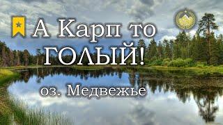  оз. Медвежье  Карп голый и не только  Русская рыбалка 4 