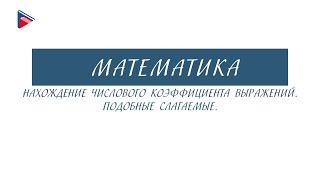 6 класс - Математика - Нахождение числового коэффициента выражений. Подобные слагаемые