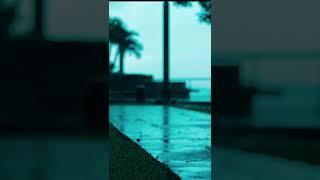 BSX Music | Rain Cloud Nature | Macan - Kino (Minus)