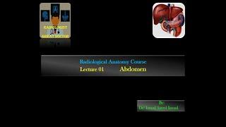 Radiological Anatomy Course -Lecture 01 -Abdomen Part(1)