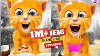 Talking Tom Cat 2 - Talking Cat music so funny | Cat Eating#talkingtom #talkingginger