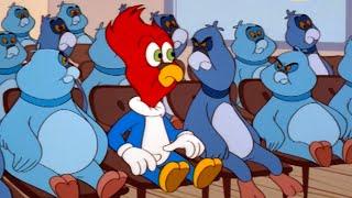 Woody Is A Pigeon?! | 1 Hour of Woody Woodpecker Full Episodes