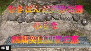 梅雨の前 5月27日 土曜 曇り時々晴れ カゲロウの飛ぶ頃 むきばんだ史跡公園 小さな四隅突出型墳丘墓 日本 鳥取県西伯郡大山町妻木 鳥取県立むきばんだ史跡公園 @WalkingYoshi