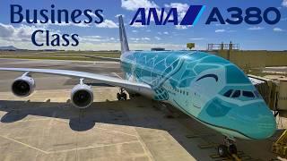 BUSINESS - ANA Airbus A380 !  Honolulu - Tokyo  Upper Deck  [FULL FLIGHT REPORT]