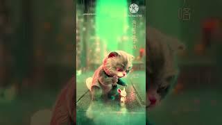 ai cat dance #