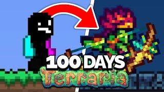 I Spent 100 Days in the Calamity Mod on Terraria...