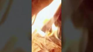 trending#vairal#shortvideos#duet