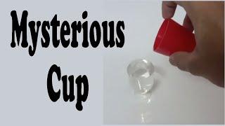 Mysterious Cup