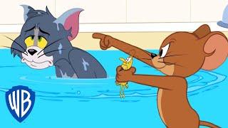 Tom & Jerry | Tom's Tick Problem | WB Kids