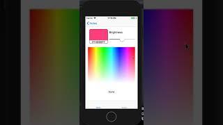 Stepik Yandex iOS Development. Final Notes App with Color Picker.