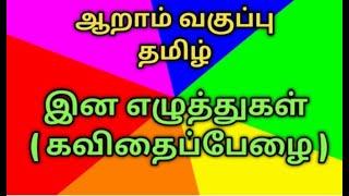 இன எழுத்துகள் ஆறாம் வகுப்பு 6th std Ina Ezhuthugal... Ena Eluthugal... இன எழுத்துக்கள்.