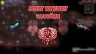 Calamity mod Мозг Ктулху за война в режиме эксперт и смерть