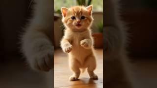 Grace in Innocence: The Kitten’s Moment #viral #shorts #foreveryone #funny