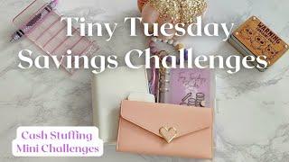 Tiny Tuesday Cash Stuffing Mini and Micro Savings Challenges | Roll and Save