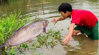 Bac_wanderingboy's story: harvesting cucumbers and the moment he caught a 3.5kg fish in the swamp.