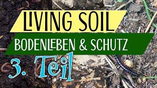 Living Soil | Bodenleben, Zersetzer und Räuber