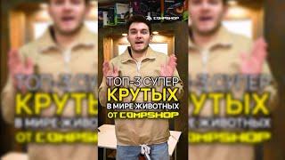 Топ-3 суперкрутых в мире животных от CompShop