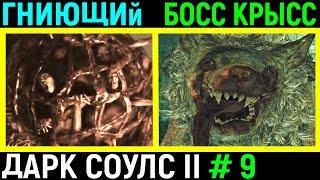 #9 Боссы Гниющий и командир крысиной гвардии Dark Souls 2