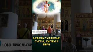 К нам со съёмочной группой и семьёй приезжала Тутта Ларсен! Передача #Путеродитель в Можайске