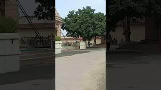 Arnej But Bhavani Temple #temple #butbhavani #jaliya #jaliyavlog #arnej #merbhautik #bhavnagar