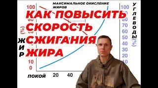 Как повысить скорость сжигания жира. Что влияет.