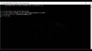 Paraminer: Finds hidden parameters #bugbountytips