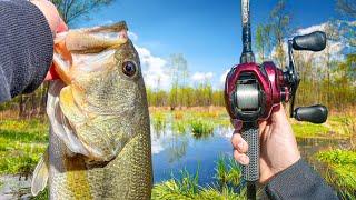 Searching The SHALLOWS For Spring MONSTERS (Kayak Fishing)