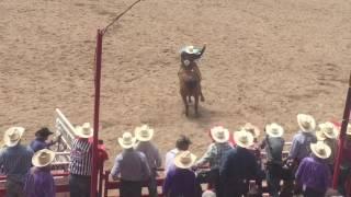 Cheyenne Frontier Days Rodeo highlights July 26, 2016